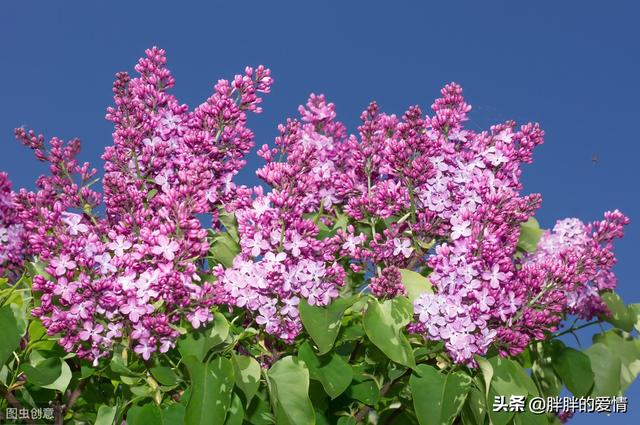 人生哲理句子（有格局的人生哲理句子）