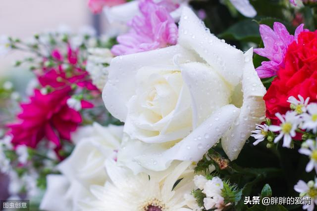 人生哲理句子（有格局的人生哲理句子）