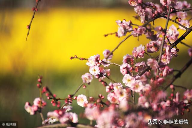 人生哲理句子（有格局的人生哲理句子）