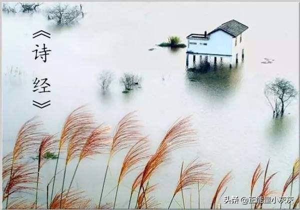 宜室宜家百度云（宜室宜家百度云下载）