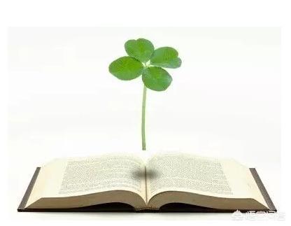 阅读神器安卓版红色(永久免费的看书神器app)